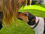 Fotoblog roomnumbernine