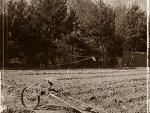 Fotoblog anonimously
