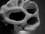 Fotoblog wholelotta