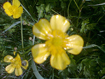 Fotoblog fourmetersoverland