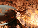 Fotoblog przemczes