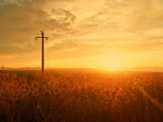 Fotoblog myheartisbeating