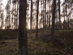 Fotoblog yodo93