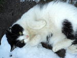 Fotoblog mysteriousxx16