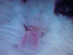 Fotoblog kamila20000403