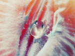 Fotoblog aquariuspeg