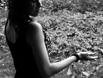 Fotoblog blueberrykiss