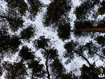 Fotoblog cfanszy