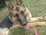 Fotoblog niewiem12367