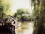 Fotoblog worldofvictoria