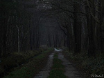 Fotoblog laofeng