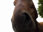 Fotoblog igottafeelingxd