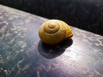 Fotoblog xizuleccx