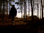 Fotoblog photoberry