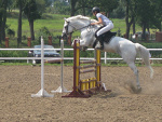 Fotoblog ilovehorses18