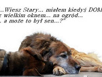 Fotoblog zwierzaki15