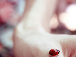 Fotoblog lili10