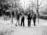 Fotoblog npwm