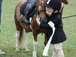 Fotoblog koniowatozakrecona