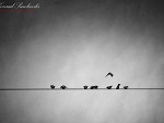 Fotoblog takeiteasy1639