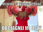 Fotoblog rudyczopeusz