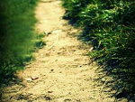 Fotoblog fuuuckofff