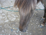 Fotoblog zuzix96