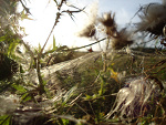 Fotoblog norust