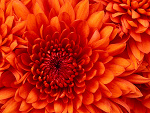 Fotoblog madyia