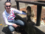Fotoblog ama444