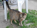 Fotoblog cotypaczysz133
