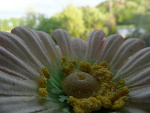Fotoblog iilovephotography