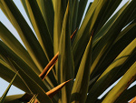 Fotoblog myfotogallery