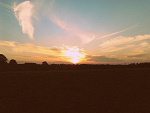 Fotoblog naturalhistoryphoto