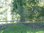 Fotoblog grzegorz30597