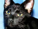Fotoblog yesornotx3