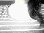 Fotoblog eybitchez