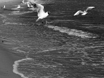 Fotoblog magic96