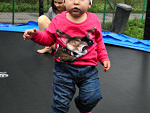 Wpis xsimply