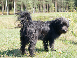 Fotoblog draaga
