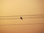 Fotoblog isae