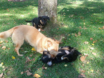 Fotoblog user163