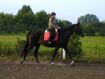 Fotoblog vicke