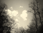 Fotoblog gaconkaa