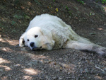 Fotoblog bobrooowa