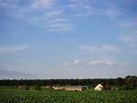Fotoblog bluestick