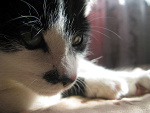 Fotoblog ankaa00