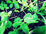 Fotoblog kocham1cie23