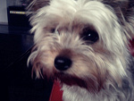 Fotoblog sisix33