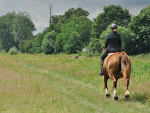 Fotoblog nicely06